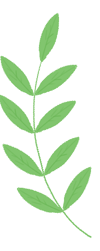 我与大行一骑向未来哈尔滨百人骑行活动圆满收官