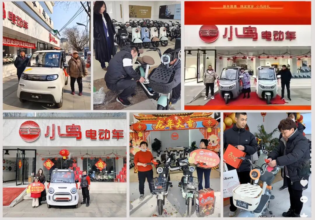 小鸟喜迎开门红