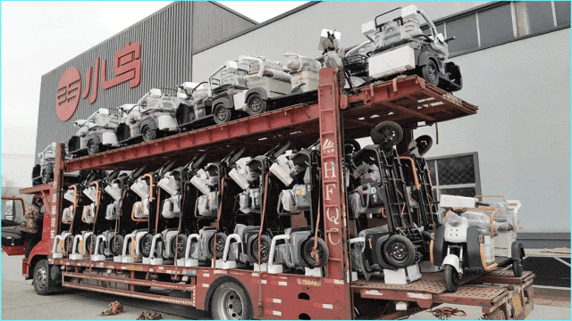 小鸟喜迎开门红