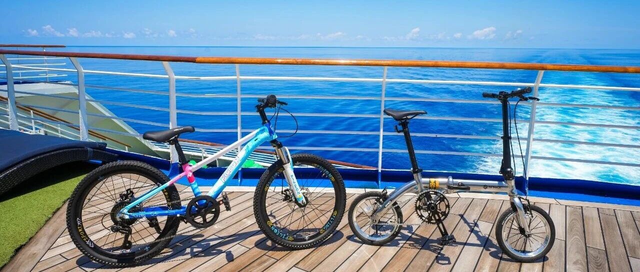 领航山海·共赴骑迹：中国飞鸽与丽星梦船务达成战略合作