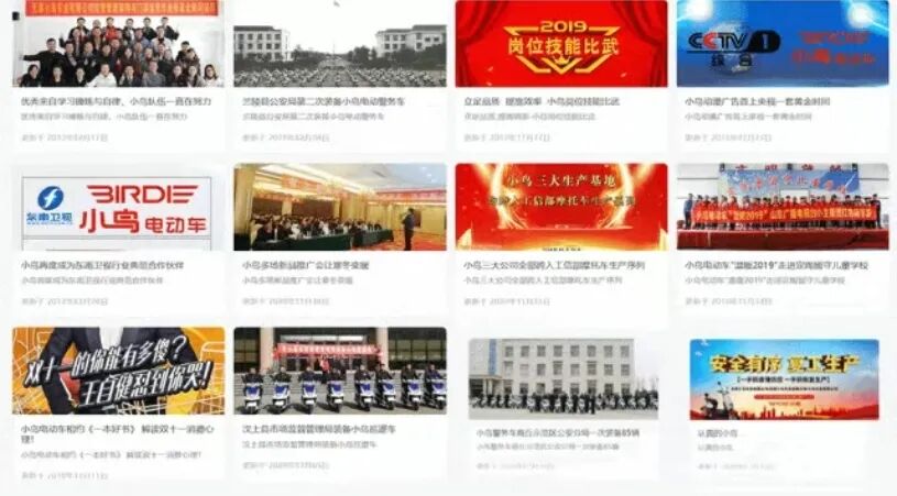 小鸟电动车2025：文化出海与全品类布局双轮驱动