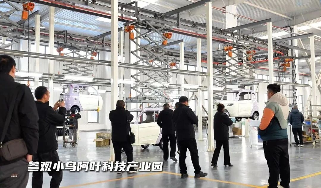 小鸟电动车2025：文化出海与全品类布局双轮驱动