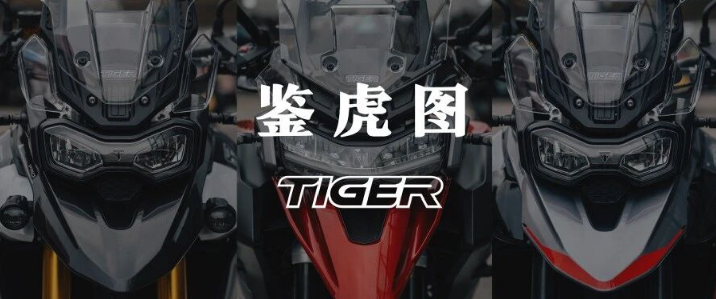 「鉴虎图」Tiger家族全揭秘