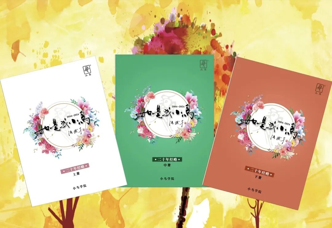 小鸟电动车2025：文化出海与全品类布局双轮驱动