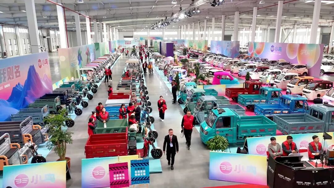 小鸟电动车2025：文化出海与全品类布局双轮驱动