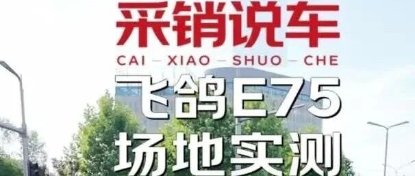 飞鸽E75采销实测：解码国民老品牌电动自行车的科技密码