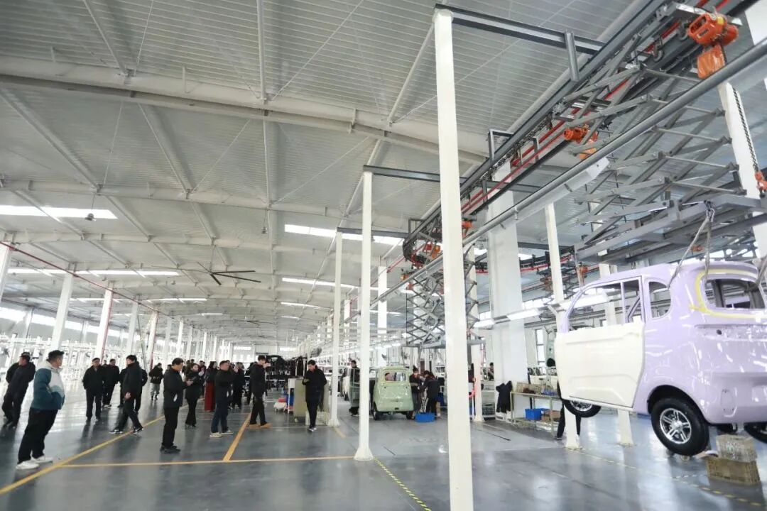 小鸟电动车2025：文化出海与全品类布局双轮驱动