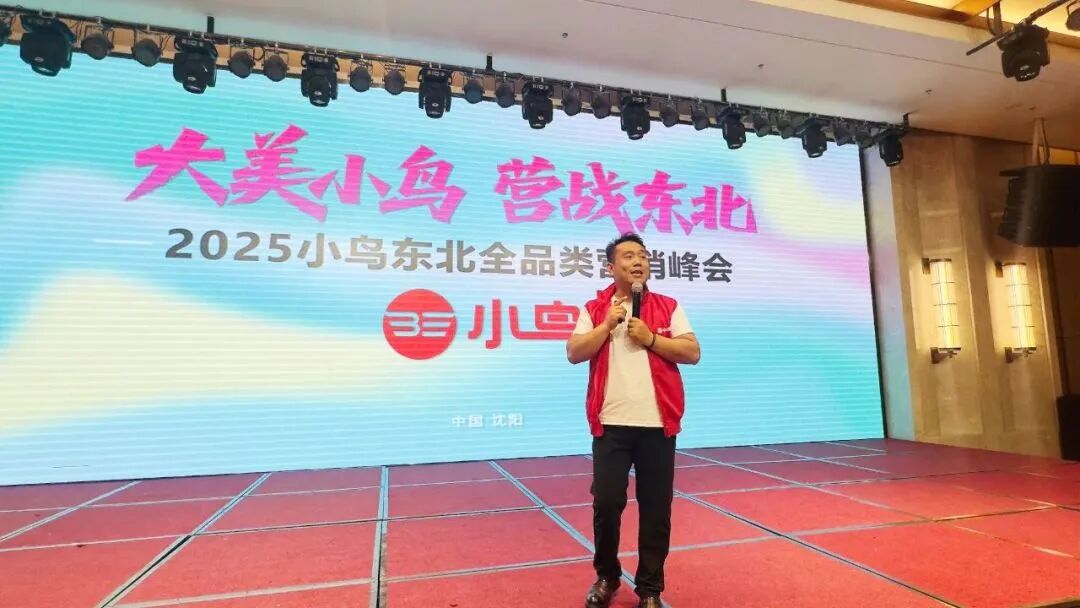 小鸟电动车2025：文化出海与全品类布局双轮驱动