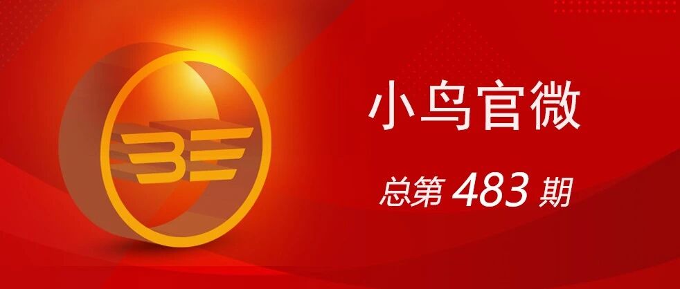 小鸟：步新 布局 不凡