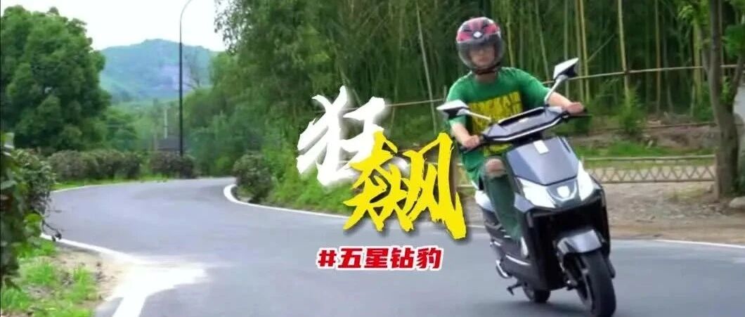 性能怪兽全面能打深度评测五星钻豹狂飙看完你就爱了