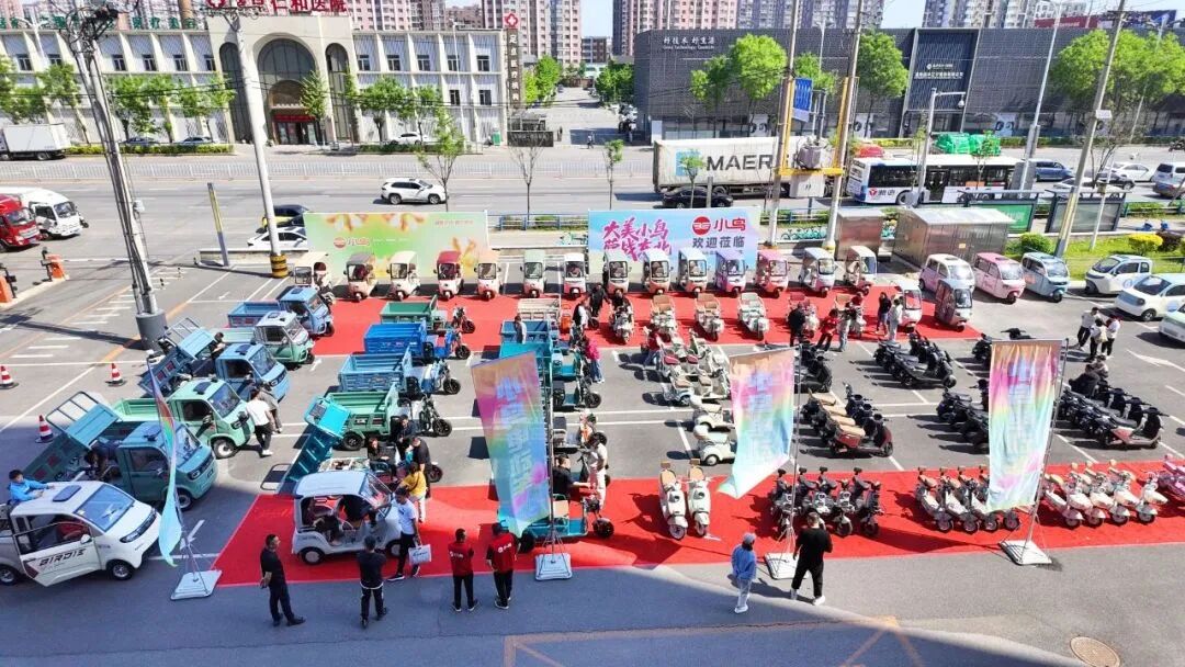 小鸟电动车2025：文化出海与全品类布局双轮驱动