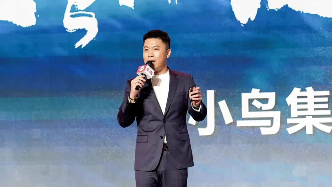 小鸟电动车2025：文化出海与全品类布局双轮驱动