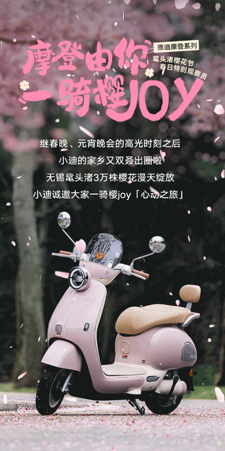 一骑樱joy丨来鼋头渚跟小迪互粉