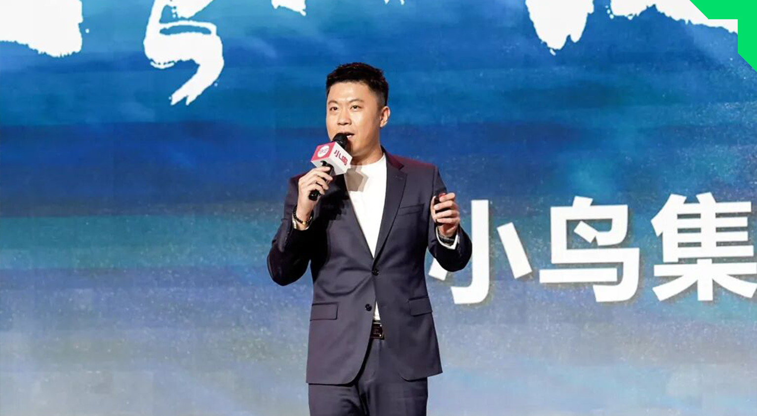 小鸟电动车2025:文化出海与全品类布局双轮驱动