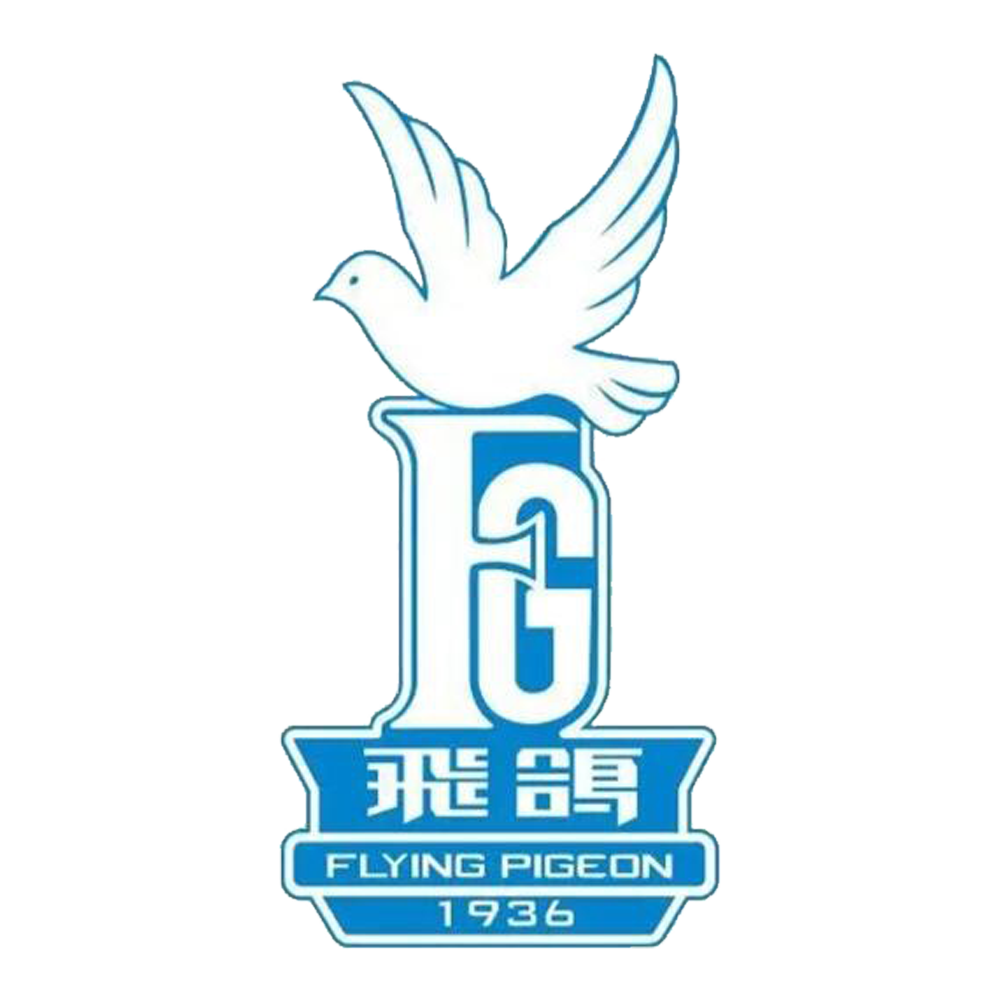 Flying Pigeon飞鸽