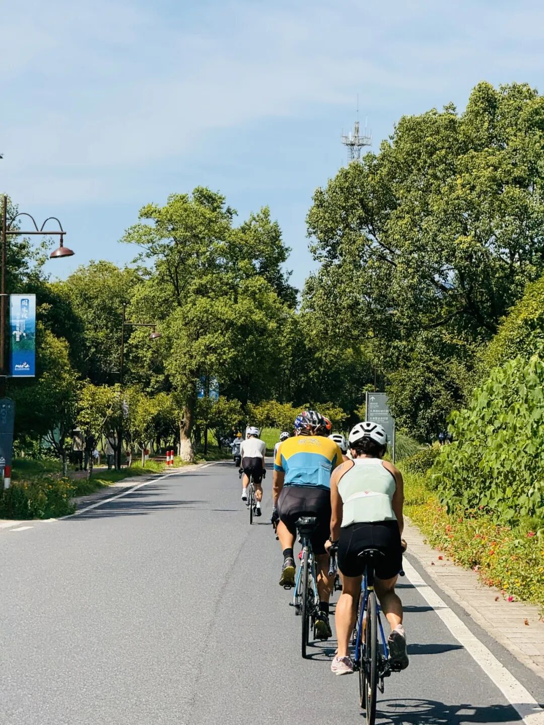 MCC816G530双桥绕圈318对讲机试用