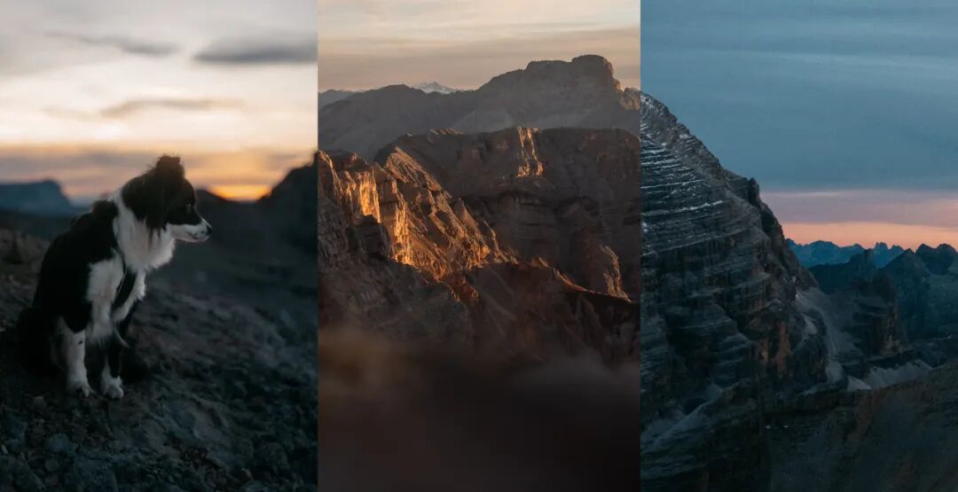 [2025-04-30]一个女孩的最佳骑行伙伴