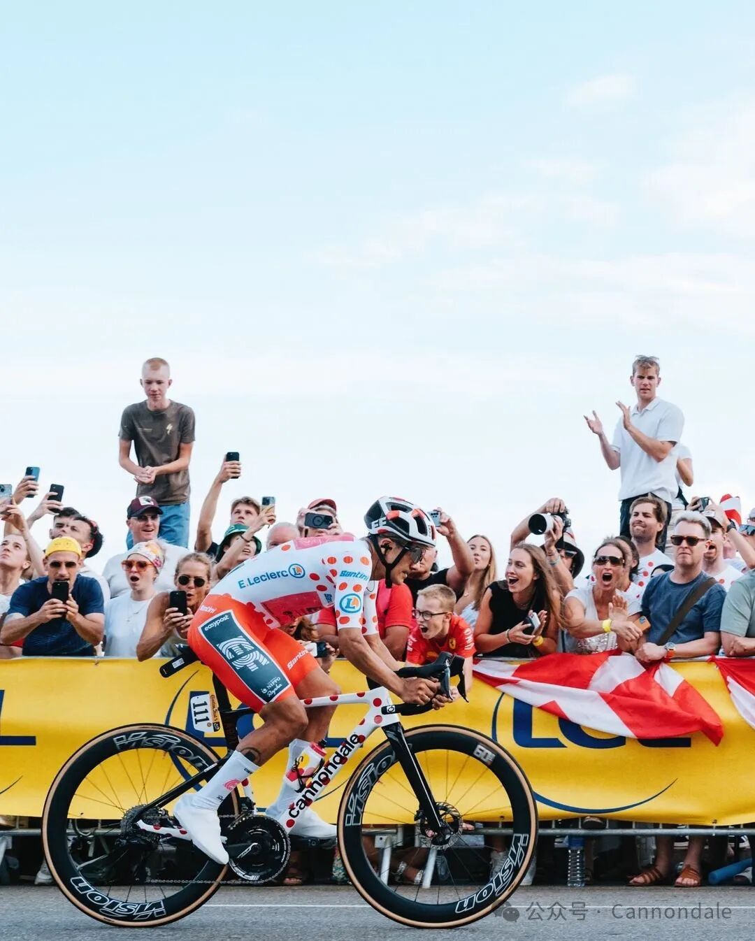 [2024-07-23]卡拉帕兹的王冠