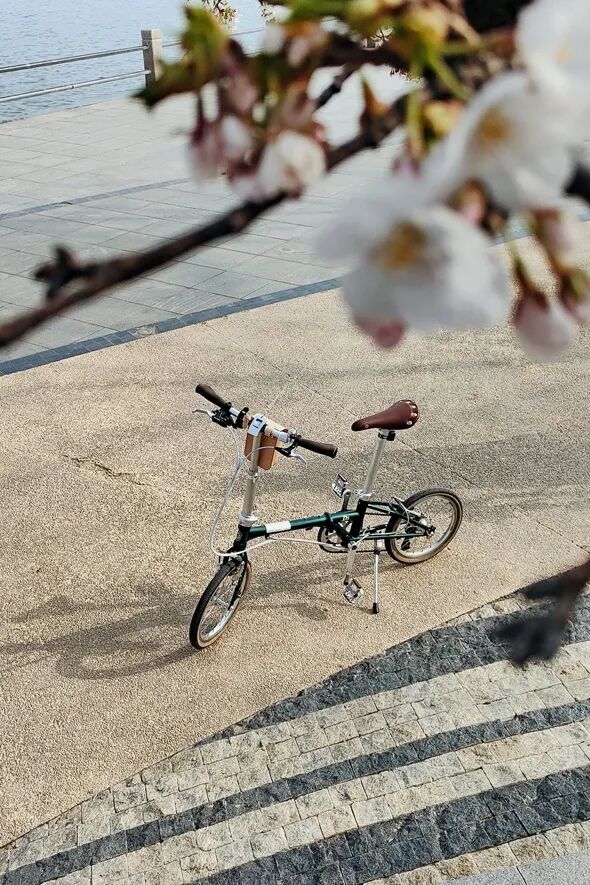 [2025-06-19]我与大行的故事第三季征文大赛作品分享车轮转动与大行同行