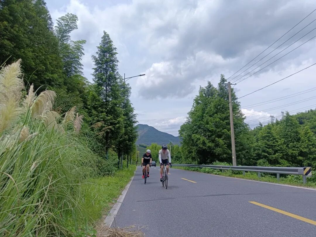 MCC816G530双桥绕圈318对讲机试用