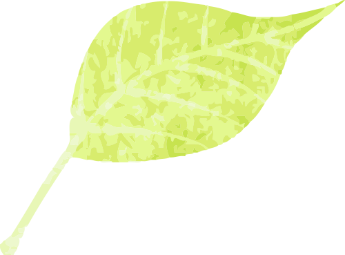 [2025-06-06]FUN RIDER 风锐 16全新车款上市