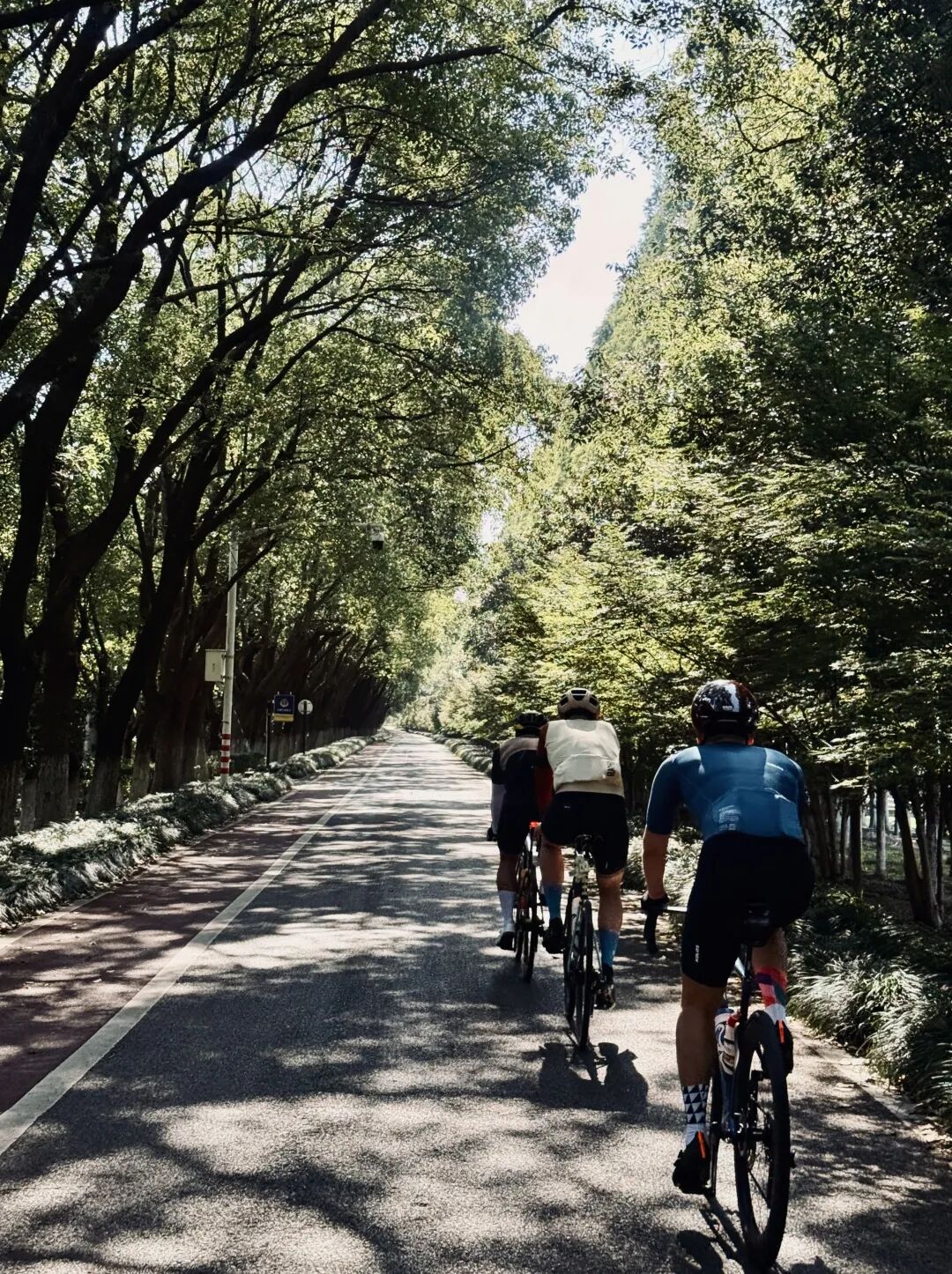 MCC710G530龙腾大道晨骑