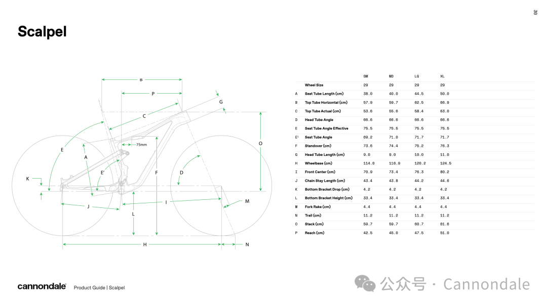 Scalpel一直在最前沿