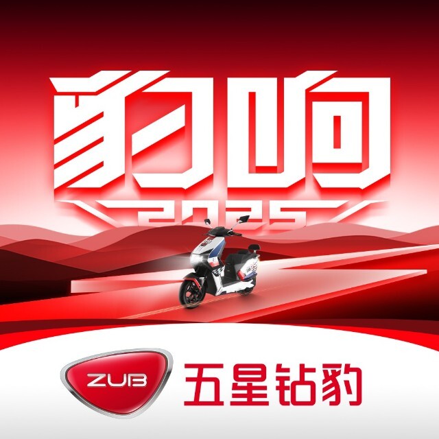 五星钻豹电动车