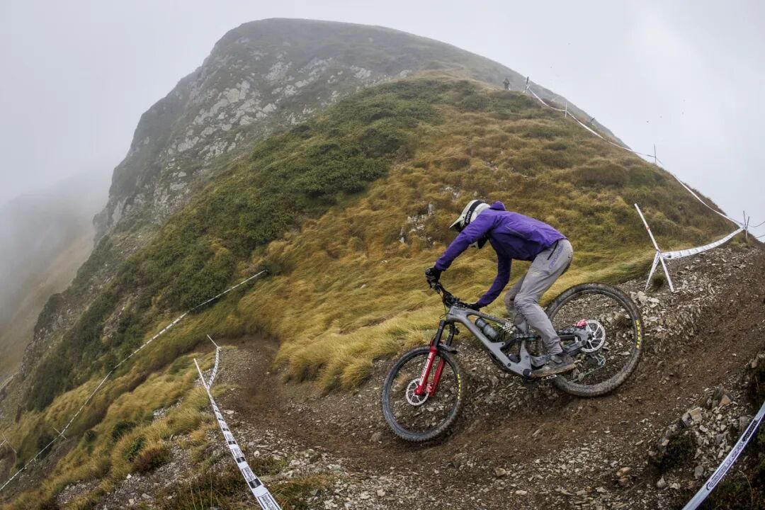 [2025-03-19]CannondaleJekyllampHabit山地车限时折扣