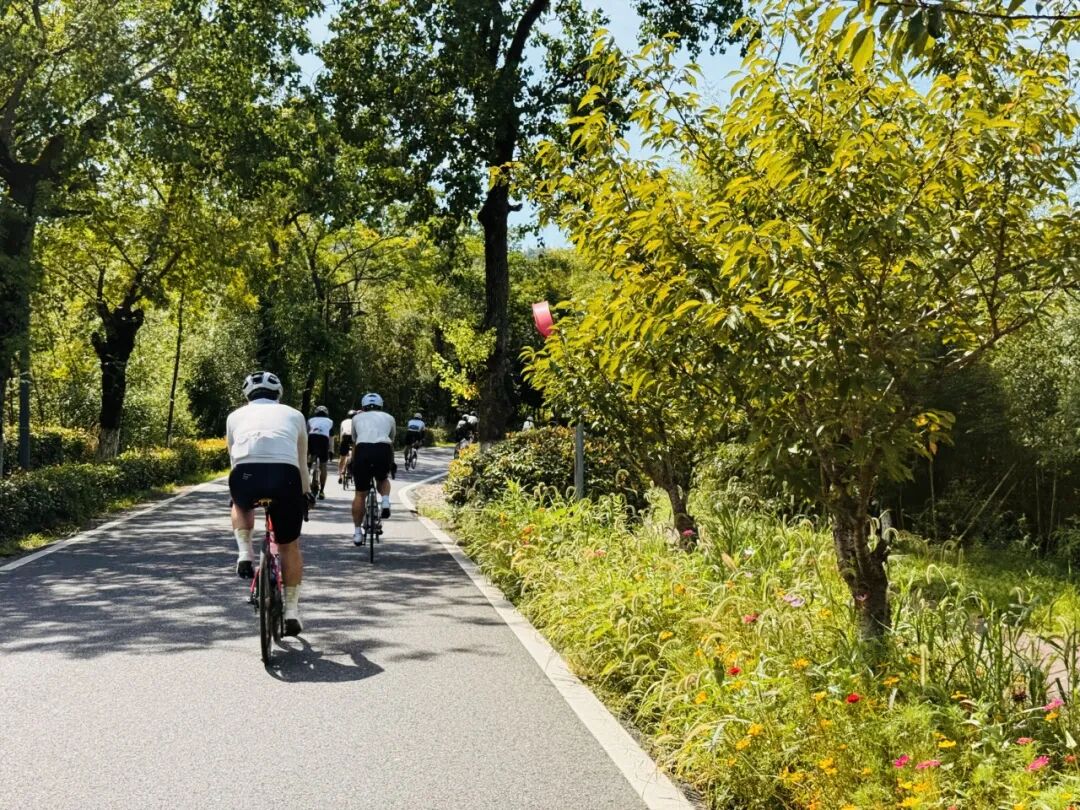 MCC816G530双桥绕圈318对讲机试用