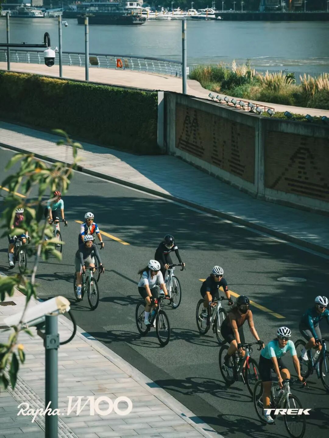 MCCPowster丨830G530七夕绘爱心骑行袜福利送送送