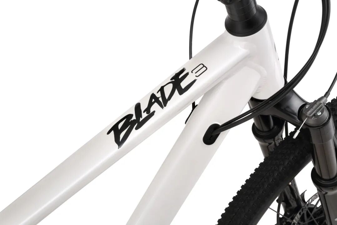 [2024-04-26]新品上市2025款BLADE3HD20S