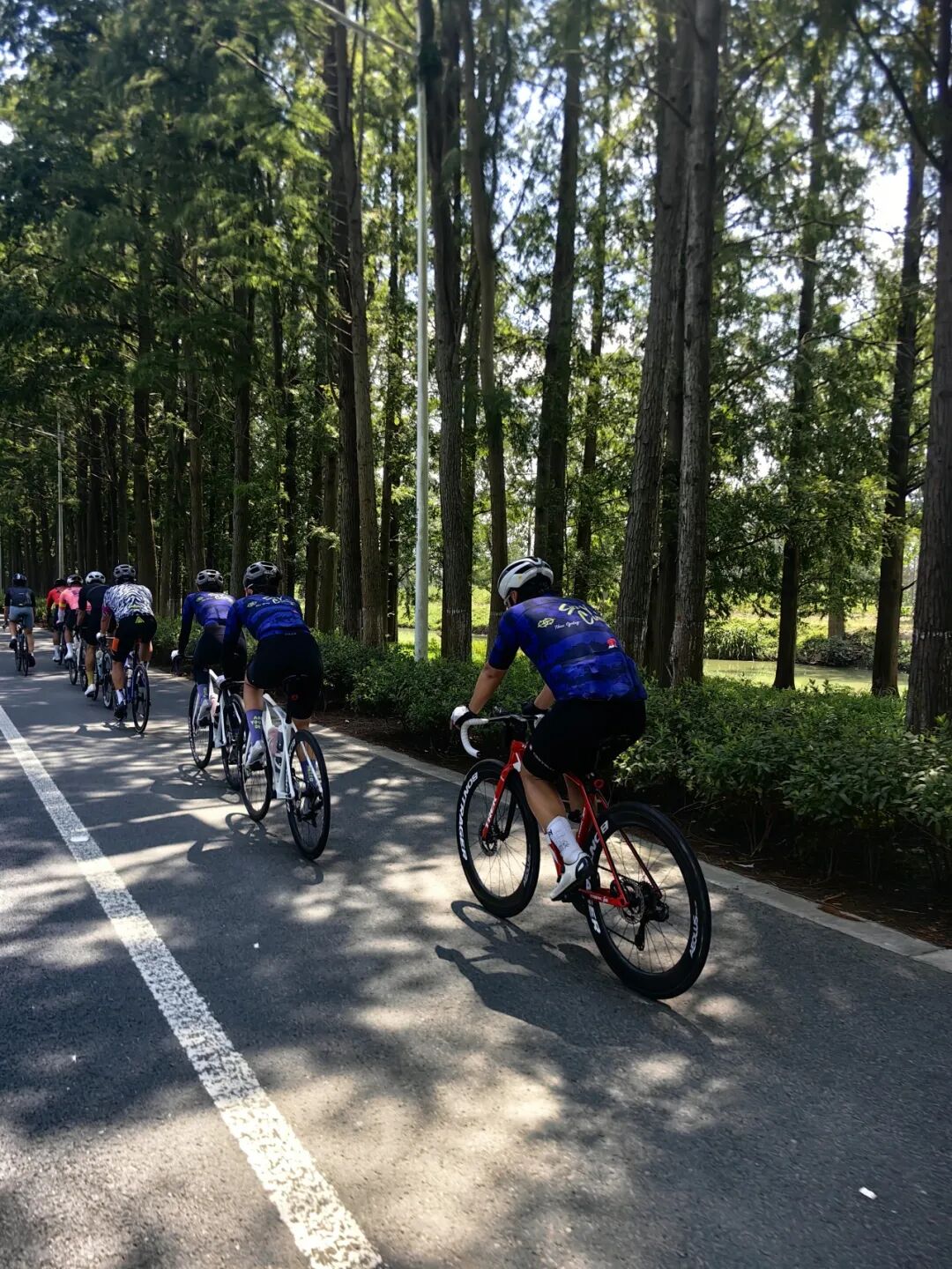 MCCPowster丨830G530七夕绘爱心骑行袜福利送送送