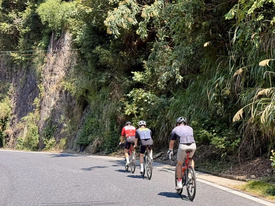 MCCPowster丨830G530七夕绘爱心骑行袜福利送送送