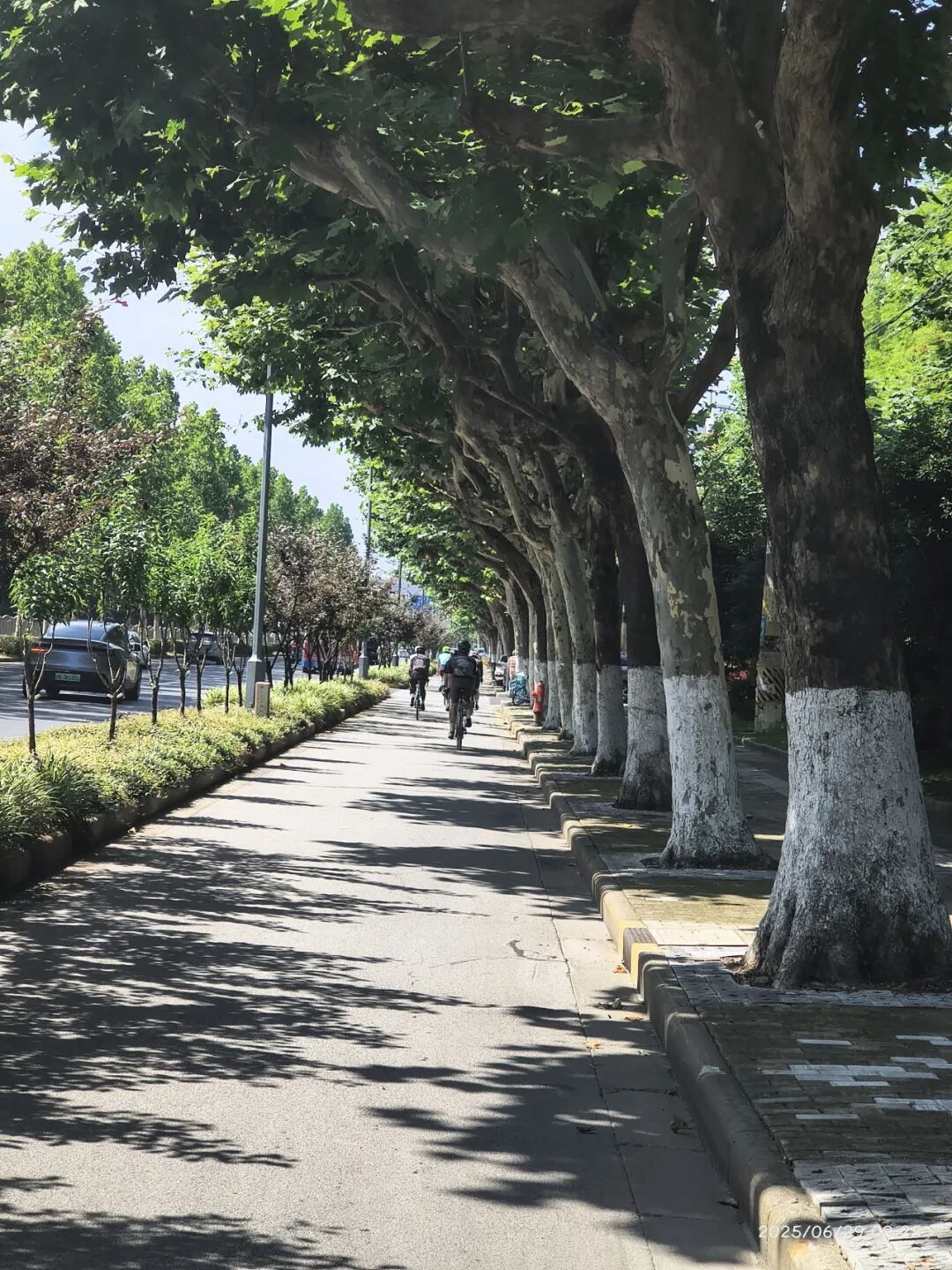 MCC710G530龙腾大道晨骑