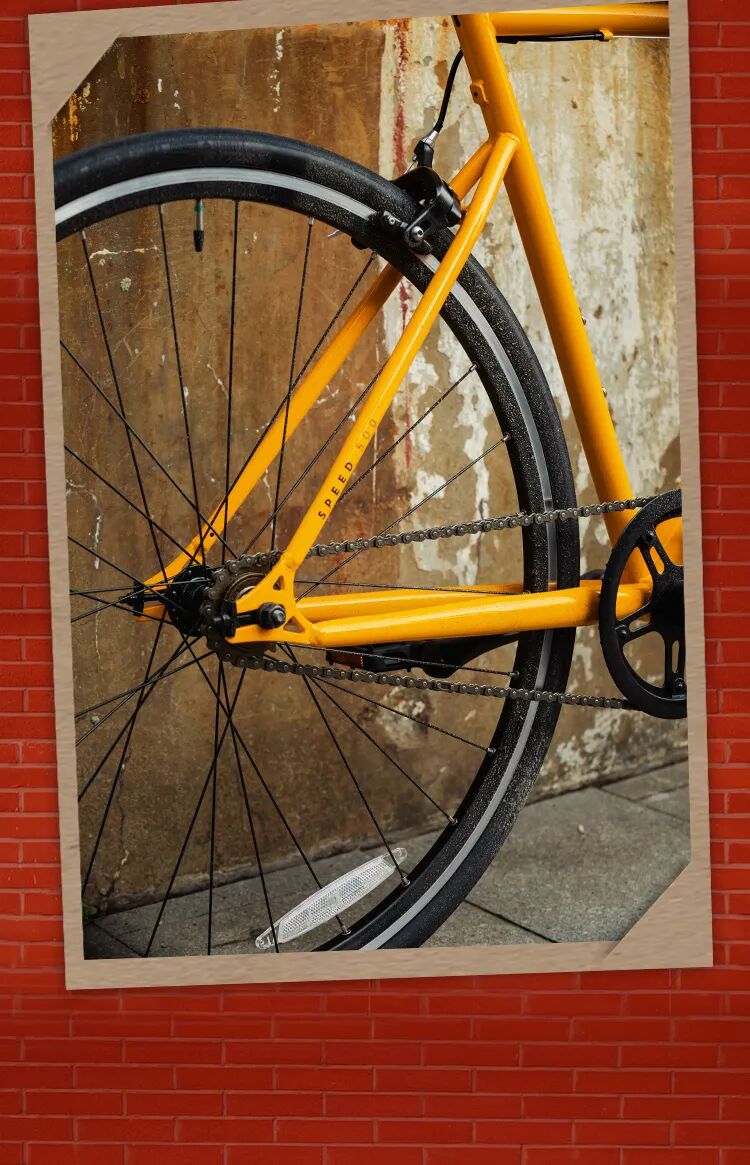 [2024-01-31]龙年限定丨Speed500新色登场