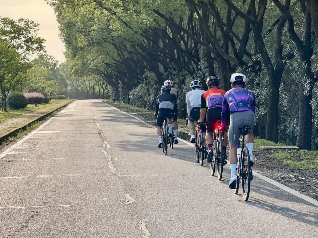 MCC724G530晨骑苗江路绕圈