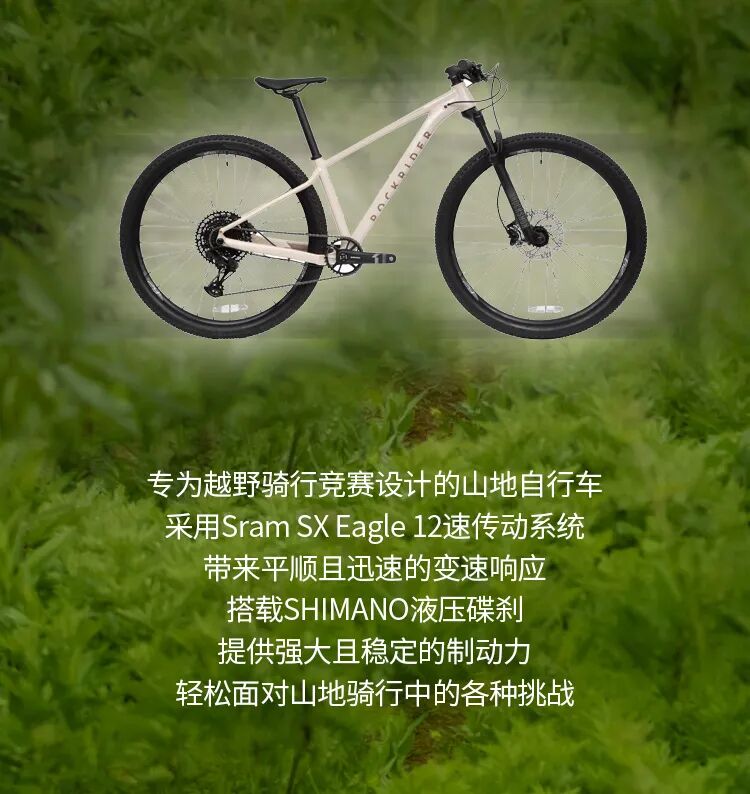 [2024-06-11]高考结束放肆骑行