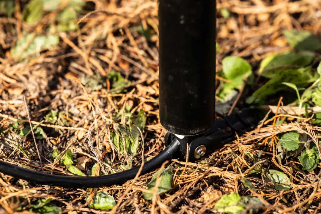 [2025-05-28]高速大沙发性能小钢炮DAHON大行ARCHERP8折叠车横向测评