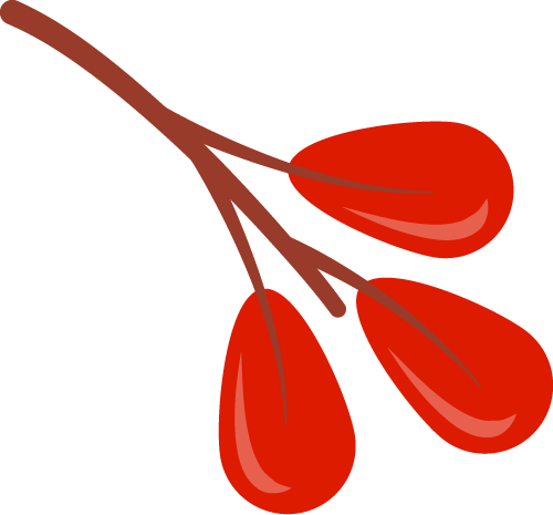 [2025-04-10]ACE20MD6S全新上市