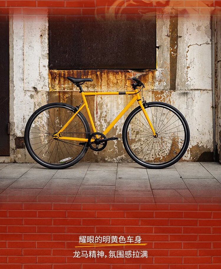 [2024-01-31]龙年限定丨Speed500新色登场