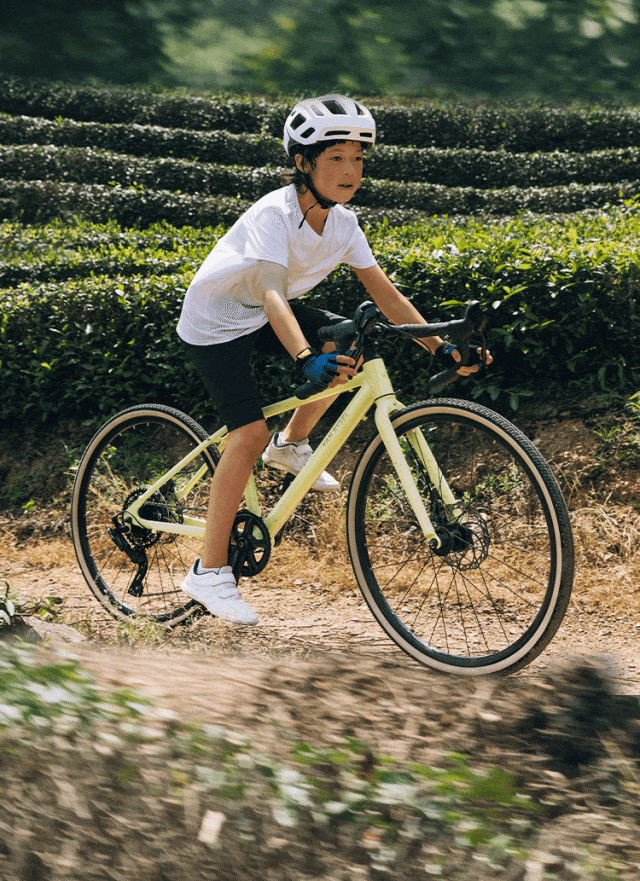 [2024-08-29]一脚骑进山野里