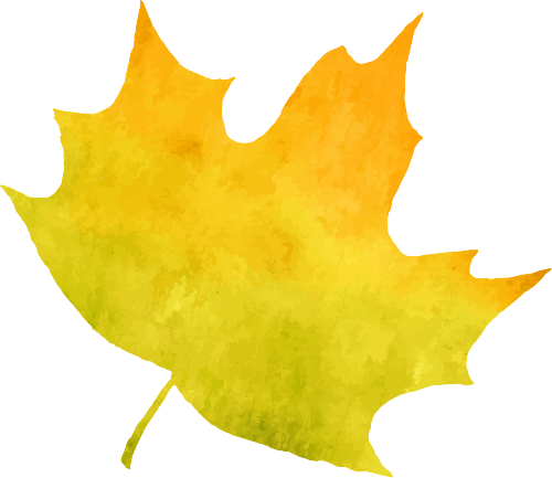 终极大魔王经典再续ARCHERP8折叠车横向测评