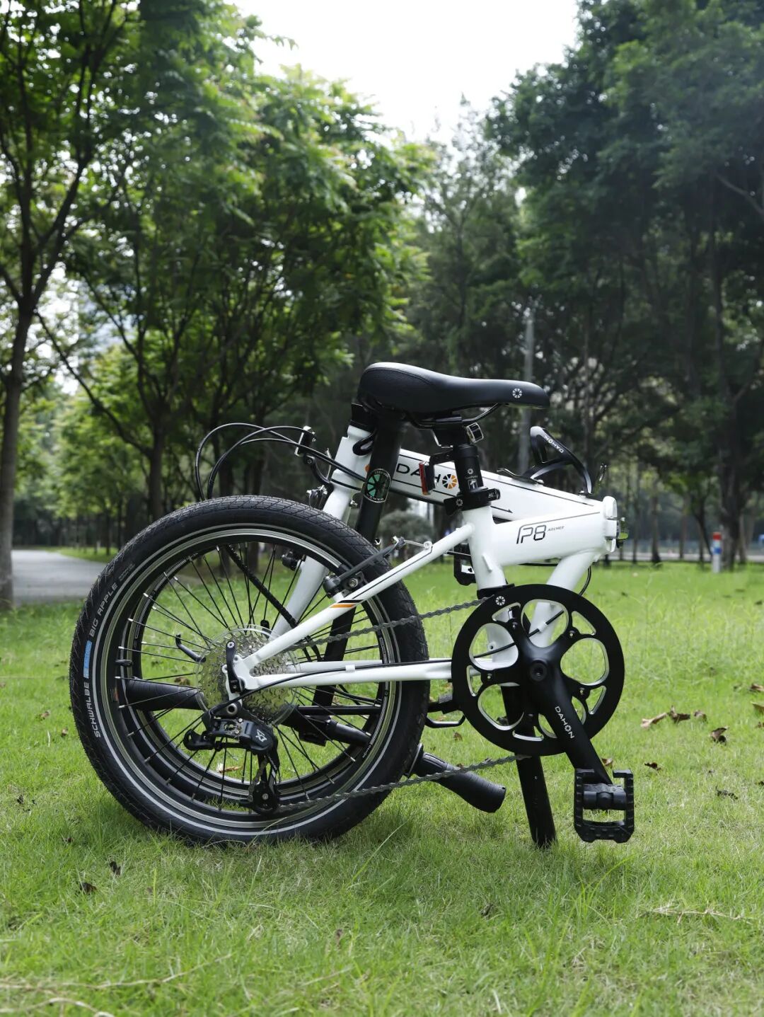 [2025-10-13]大行P820年迭代史技术升级铸就常青款