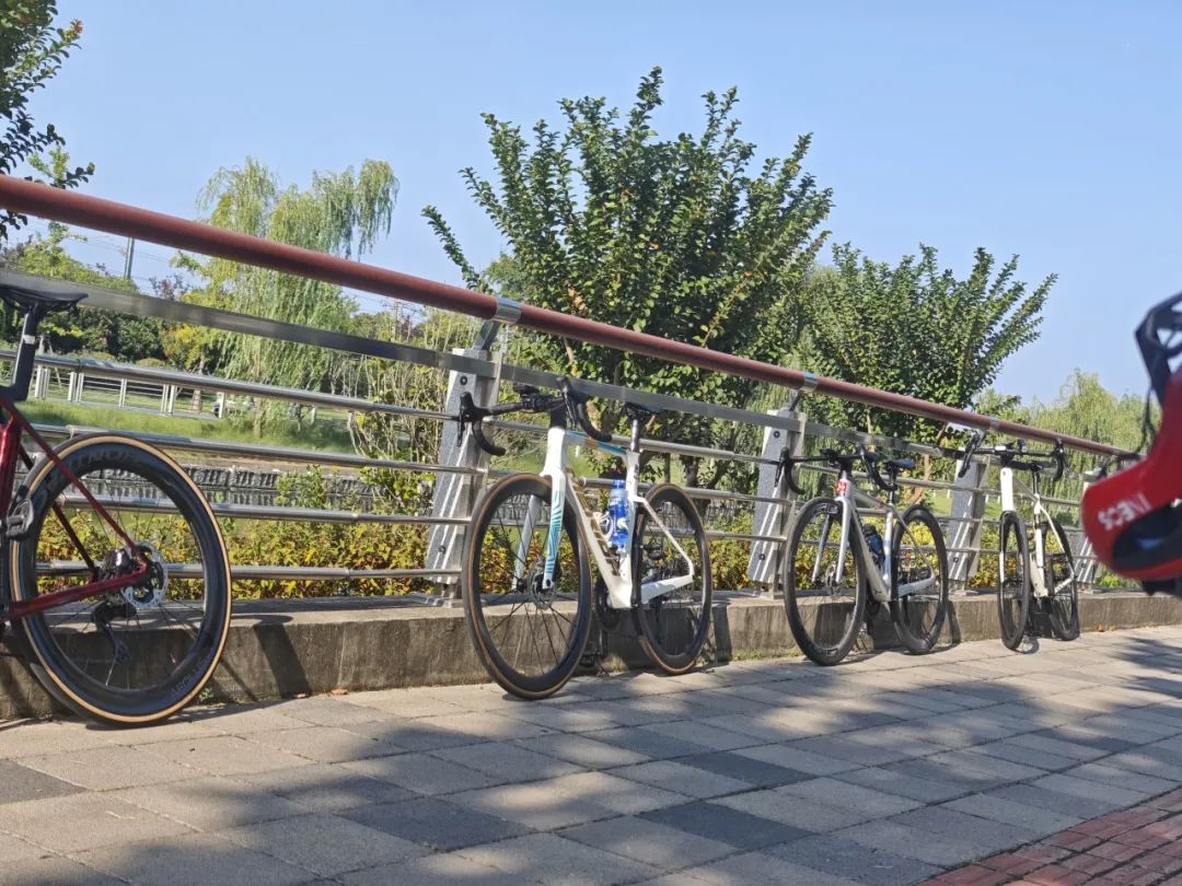 MCCPowster丨830G530七夕绘爱心骑行袜福利送送送