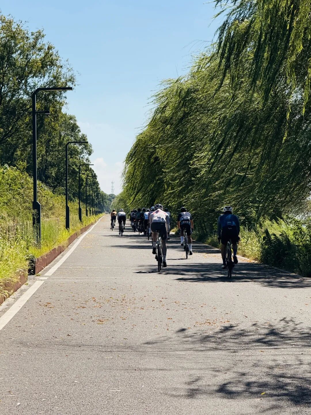 MCC长三角活动丨9697莫干山度假骑游