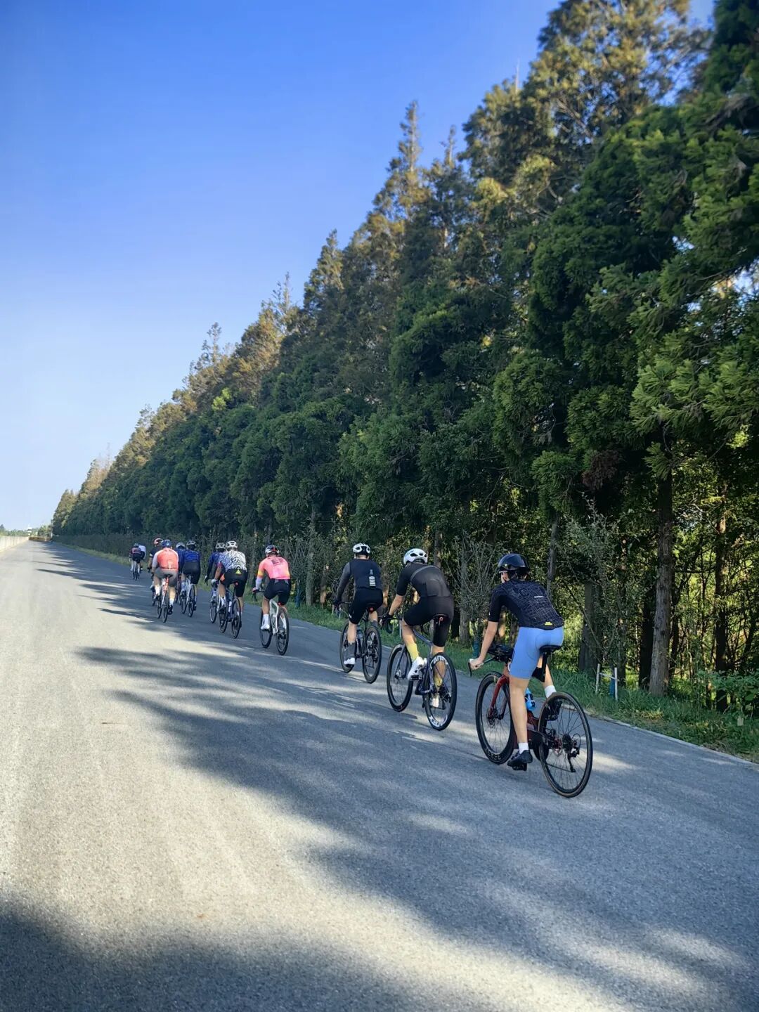 MCCPowster丨830G530七夕绘爱心骑行袜福利送送送