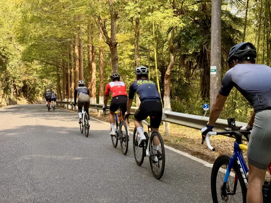 MCCPowster丨830G530七夕绘爱心骑行袜福利送送送