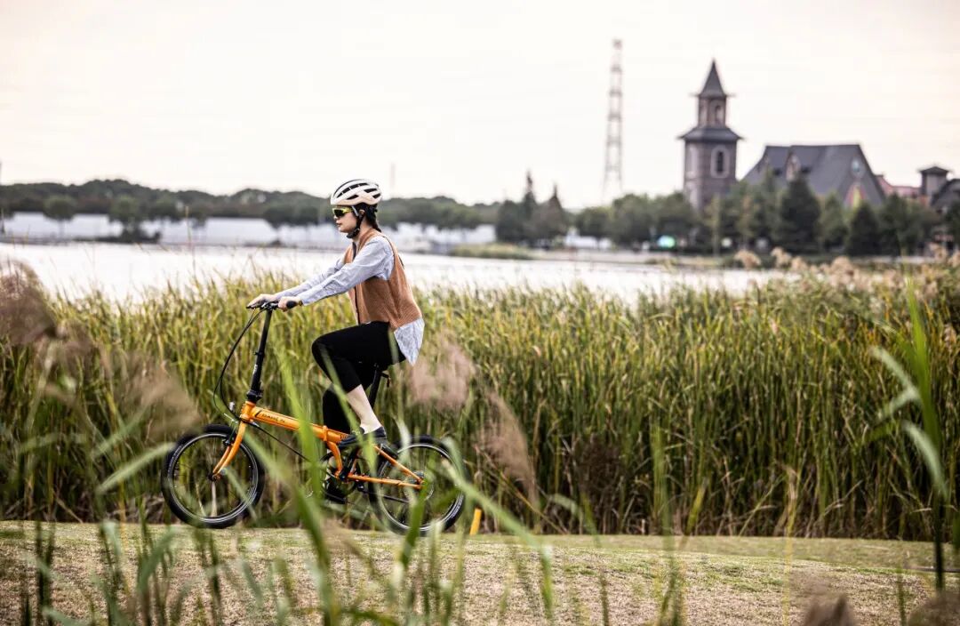 终极大魔王经典再续ARCHERP8折叠车横向测评