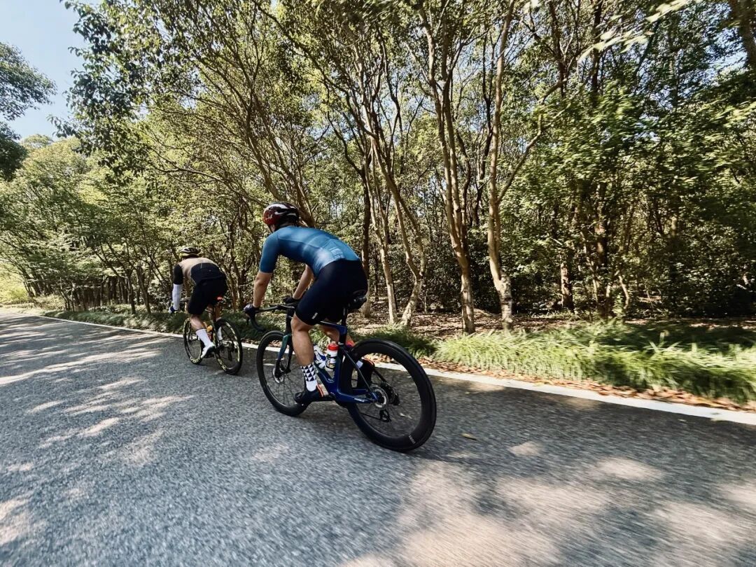 MCC710G530龙腾大道晨骑